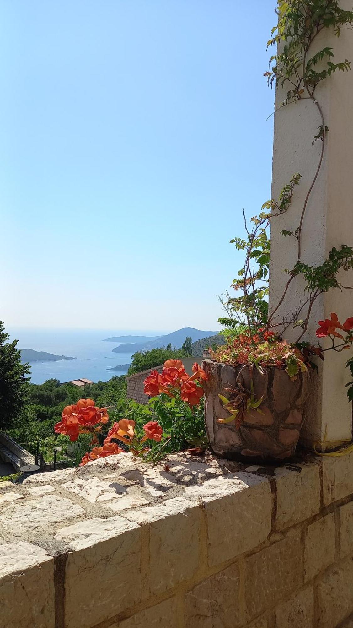 Villa Lidija 布德瓦 外观 照片