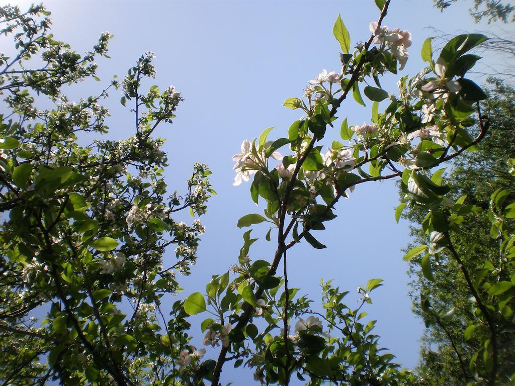 Villa Lidija 布德瓦 客房 照片
